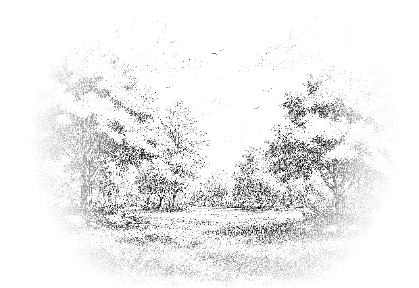 Next Development 6